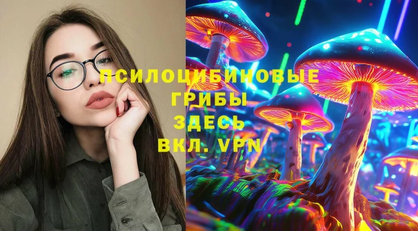 дживик Алексин