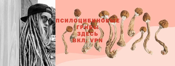 марки lsd Алексеевка