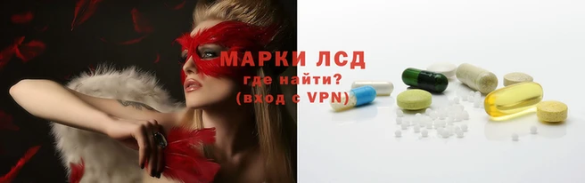 apvp Арсеньев