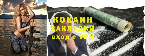 дживик Алексин