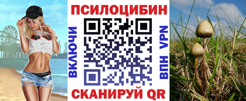 Псилоцибиновые грибы GOLDEN TEACHER  Бикин 